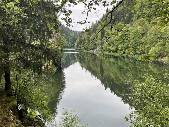 23-05-20 11-03-31 5481